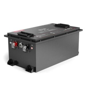 48V 100Ah Golf Cart LiFePO4 Battery (BMS 315A)